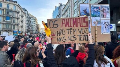 葡萄牙数千民众21日走上首都里斯本街头为动物发声。（路透社）
