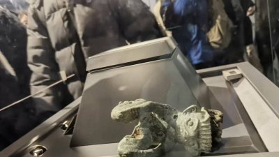中国四川省三星堆博物馆展柜内的青铜文物，因游客打架被撞跌，倒伏在展示台底部。（图取自网络）