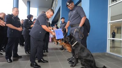 卡玛鲁扎曼（左2）颁发表扬状及狗饼给立功的警犬。