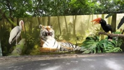 在太平动物园的AR壁画主要由马来亚虎、犀鸟及白鹳组成。