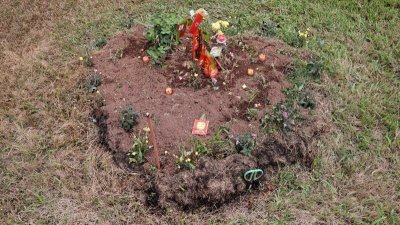 貌似坟墓的土丘呈爱心型，周围被紫色和黄色的小花围起。