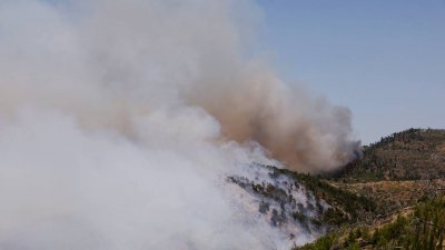希腊雅典北部森林的野火，周二仍不受控制。（图取自路透社）