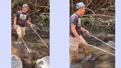 罗兹玛末在水域捕鱼的视频画面在社媒流传，渔业部仍在针对他使用的捕鱼器具展开调查。