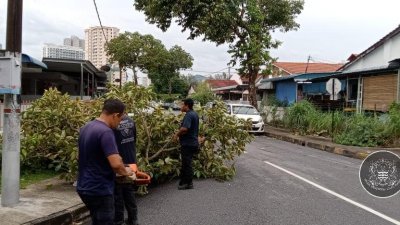 槟岛凌晨遭暴风雨袭击，导致岛内多处发生树倒屋顶被吹走事故。