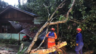 除了槟岛外，吉打万拉峇鲁县7个住宅区也遭受暴风雨袭击，导致树木被吹倒压中屋子事件，庆幸此事故未酿成任何伤亡。