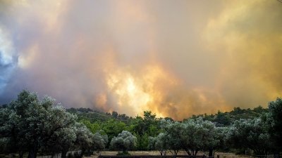 希腊旅游胜地罗德岛野火肆虐。（图取自路透社）