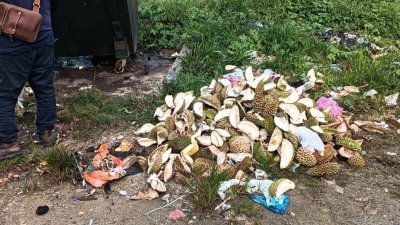 玲珑县议会呼吁民众不要将未经装袋的榴梿壳丢在垃圾槽旁的空地。