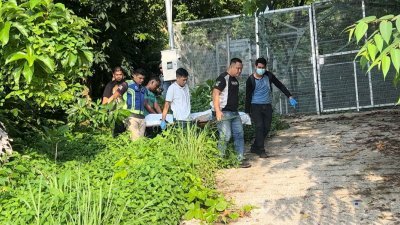 警方将尸体送往槟城中央医院太平间进行解剖。