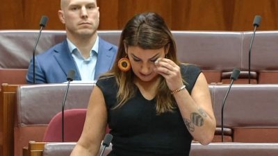 澳洲无党派女参议员索普周四在议会中，讲述自己在国会遭到性骚扰和性侵的经历，期间拿起纸巾拭泪。（图取自澳洲议会/法新社）