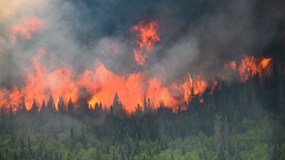 在加拿大魁北克省米斯蒂西尼附近当地时间周一（12日），火焰沿著野火边缘向上蔓延。（图取自加拿大军队/路透社）