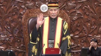 旺朱乃迪宣誓出任上议院主席。