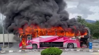 外观粉红色的长途巴士，在南北大道靠近美罗的美金园丘休息站停车区著火燃烧，火势滔天，浓烟濔漫。(网络视频截图)