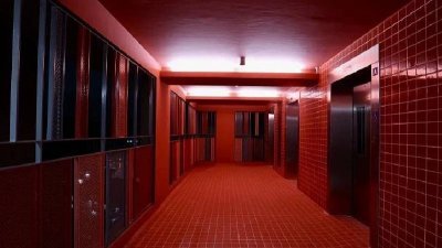 淡滨尼新组屋的电梯口铺红砖油上红漆引起网民热议。