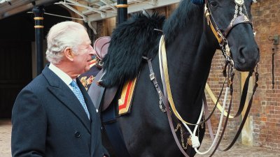 黑马诺贝尔原属于“加拿大皇家骑警音乐骑术队”，如今入住英国皇家马厩，成为英国国王查尔斯三世的新坐骑。（图取自白金汉宫/法新社）