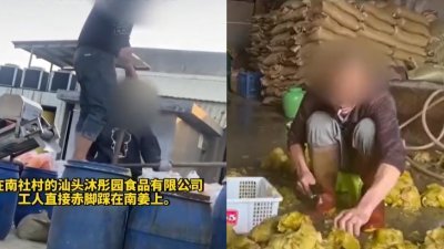 记者在酸菜厂拍到的画面可见，工人在腌制酸菜的桶内赤脚踩踏，还有工人边抽烟边切酸菜。（图取自网络）
