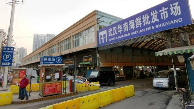 中国湖北省武汉市的华南海鲜市场，被认为是新冠肺炎的最初爆发点。（图取自网络）