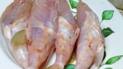 占美新村一名老妇因食用鸡腿鱼中毒身亡，周忠信促请，卫生部尽快发出指令，在全国禁售河豚类鱼种。