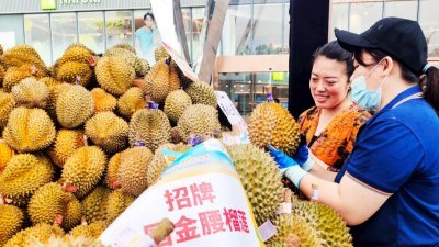 “泰爱你——2023年泰国水果节”活动上周六（13日）在广西南宁市启幕，民众在选购泰国榴梿。（图取自中新社）