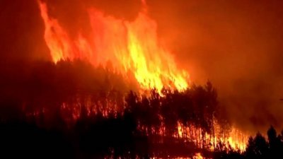西班牙西部埃斯特雷马杜拉自治区卡塞雷斯省皮诺弗兰克阿多，大火于当地时间周四在森林中熊熊燃烧。当局认为火势由人为纵火引起，而非极端天气。（图取自西班牙紧急军事部队/路透社）