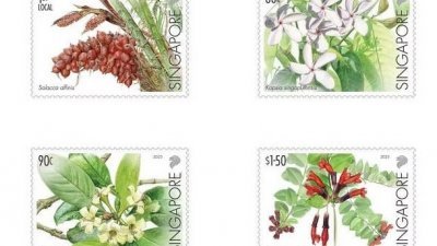 新邮政将推出全新极度濒危物种4件套邮票。由左顺时钟：口红花、美丽灰莉、新加坡蕊木、红蛇皮果。 （新加坡邮政提供）