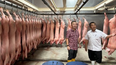 全新设立的冷藏库，以存放新鲜屠宰后的猪只，确保猪肉送到市场时，鲜度不变，卫生安全。