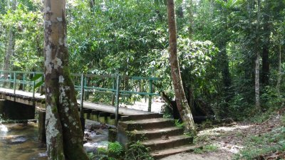 位于彼咯的双溪万东是不少民众喜欢前往徒步登山的森林休闲公园。
