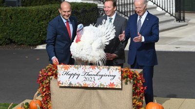 美国总统拜登当地时间周一，在华盛顿白宫“赦免”感恩节幸运火鸡。（图取自中新社）