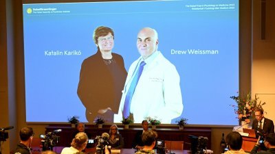 匈牙利裔美籍生技科学家卡里科（Katalin Kariko）与美国科学家韦斯曼（Drew Weissman）共享2023年诺贝尔医学奖殊荣。（图取自TT News Agency/路透社）
