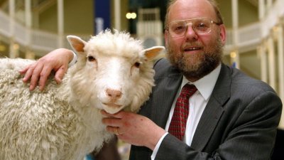 威尔穆特与复制羊“多利”合影。（图取自网络）