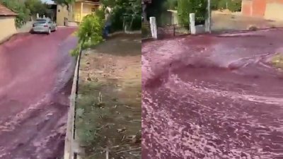 葡萄牙小村庄圣洛伦索-杜拜鲁10日因红酒储酒槽爆裂，大量红酒外泄与流过镇上街道。