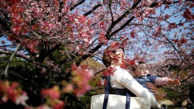 一名日本妇女抱著孩子，在东京新宿御苑 赏樱花。（图取自路透社）