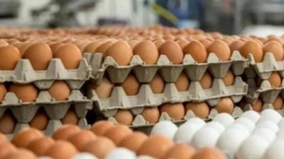 违法零售商以近一倍价格出售B级鸡蛋，遭判处罚款一万令吉。（示意图）