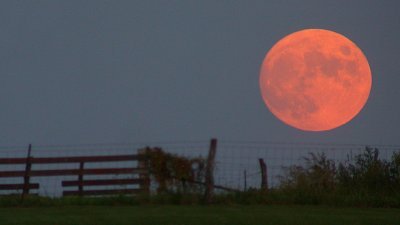 丰收月是北半球最靠近秋分前后出现的满月，通常在9月份发生，标志著秋季的开始。