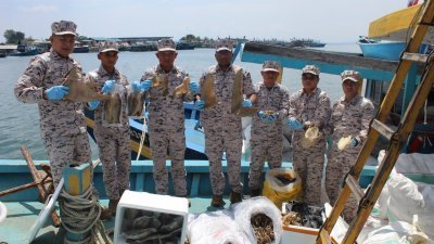 海事执法局古达区主任摩里斯与其团队展示所起获的走私乾海产。