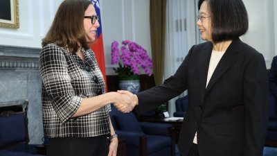 台湾总统蔡英文（右）周一在总统府接见美国在台协会（AIT）主席罗森伯格，两人握手致意。（图取自中央社）