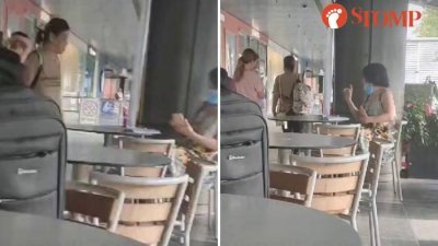 一名妇女在麦当劳用餐区为婴孩换纸尿片，遭一名女子指做法不妥，双方爆发冲突，互爆粗口。 （取自STOMP）