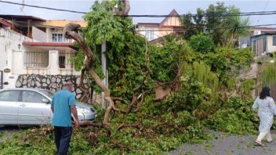 槟岛市政厅指出，槟岛昨午遭暴风雨袭击，岛内共有13个地点发生树倒及大树树枝断裂事件。