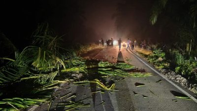 疑环境漆黑，摩哆煞车不及，猛撞路面上的油棕树枝干而翻覆，造成3名少年受伤入院。（取自社交媒体）