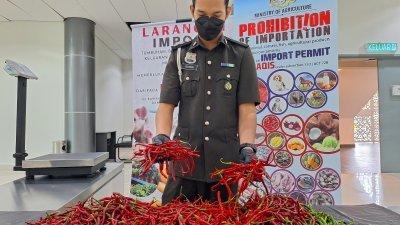 大马检疫及检验服务局拦截从印尼非法携带数十公斤辣椒入境马六甲的渡轮乘客。（照片由当局提供）