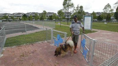 槟岛市议员柯文霖建议，拟定新宠物指南，包括先上课程才可申请宠物执照（如狗牌）。