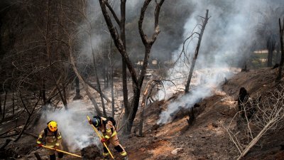 智利比尼亚德尔马发生森林火灾后，消防队员周日在植物园进行灭火工作。（图取自法新社）