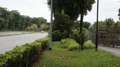 王伟胜在新加坡实里达西连路遭遇车祸，不幸身亡。