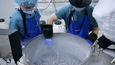 韩国京畿道城南市盆唐区的车医疗中心生育研究实验室内，研究人员在检查冷冻卵子。（图取自AFPTV/法新社）