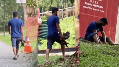 一名男子疑似在公园捕杀野鸡，引起网民关注。
