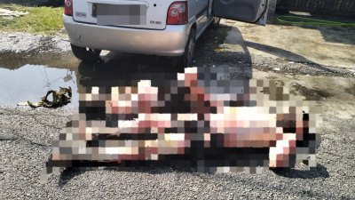 伤者躺在轿车旁，全身被灼伤。（图由消拯局提供）