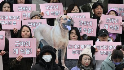 韩国动物权利活动人士周二在首尔举著标语牌，上面写著“再见狗肉！” ，欢迎国会禁止狗肉贸易法案。（图取自法新社）