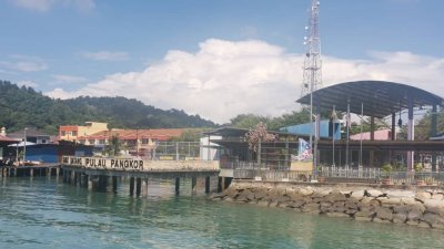 罗思义表示邦咯岛海滩一名海鲜熟食摊贩，高价售卖海鲜仅属个案，整体上该旅游胜地的食物价格仍受控制。