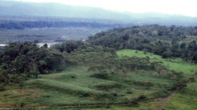 研究人员在厄瓜多尔乌巴诺河河床上发现了6000多个土堆。（图取自史蒂芬·罗斯坦/《科学》）