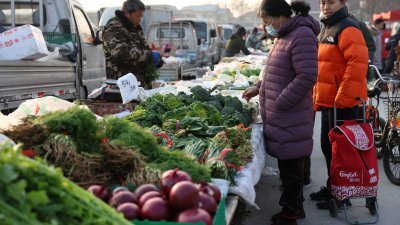 北京市民在一个户外市场，选购新鲜蔬菜。（图取自路透社）