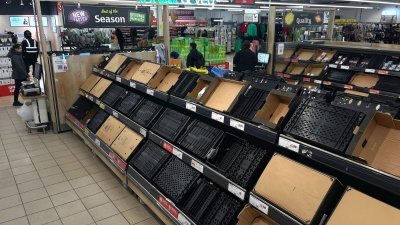 图为去年2月24日，伦敦东部塞恩斯伯里一家超市空置的货架。英国周三开始对从欧盟进口的食品、动植物产品进行脱欧后的边境检查，历史重演的担忧在英国加剧。（法新社档案照）